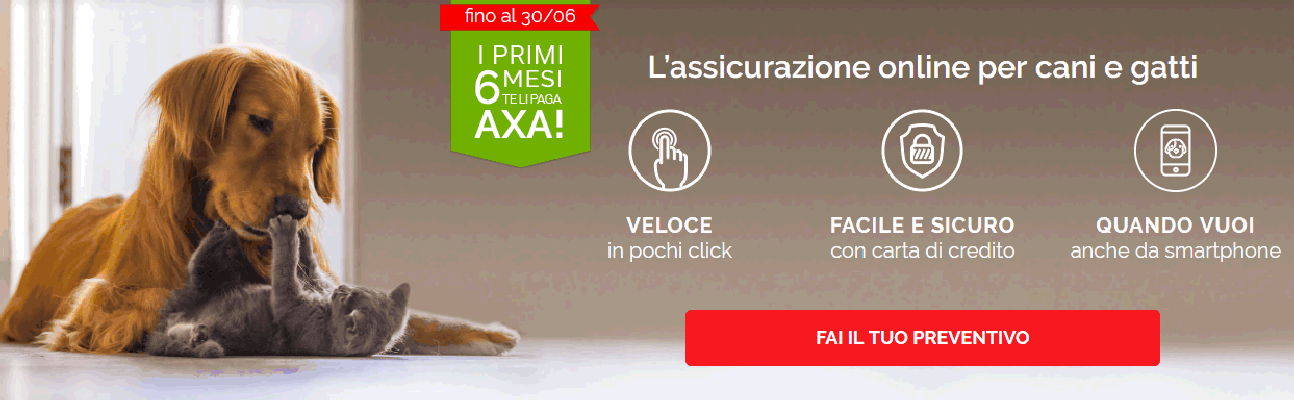 Ora anche on line la polizza di Axa per cani e gatti