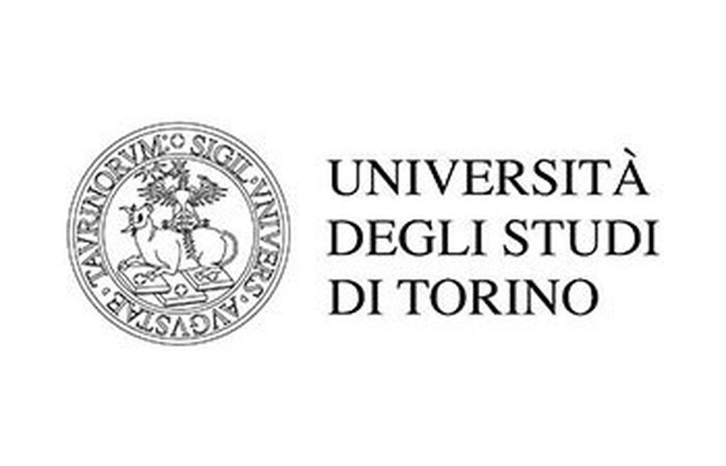 Il logo dell'Università degli Studi di Torino