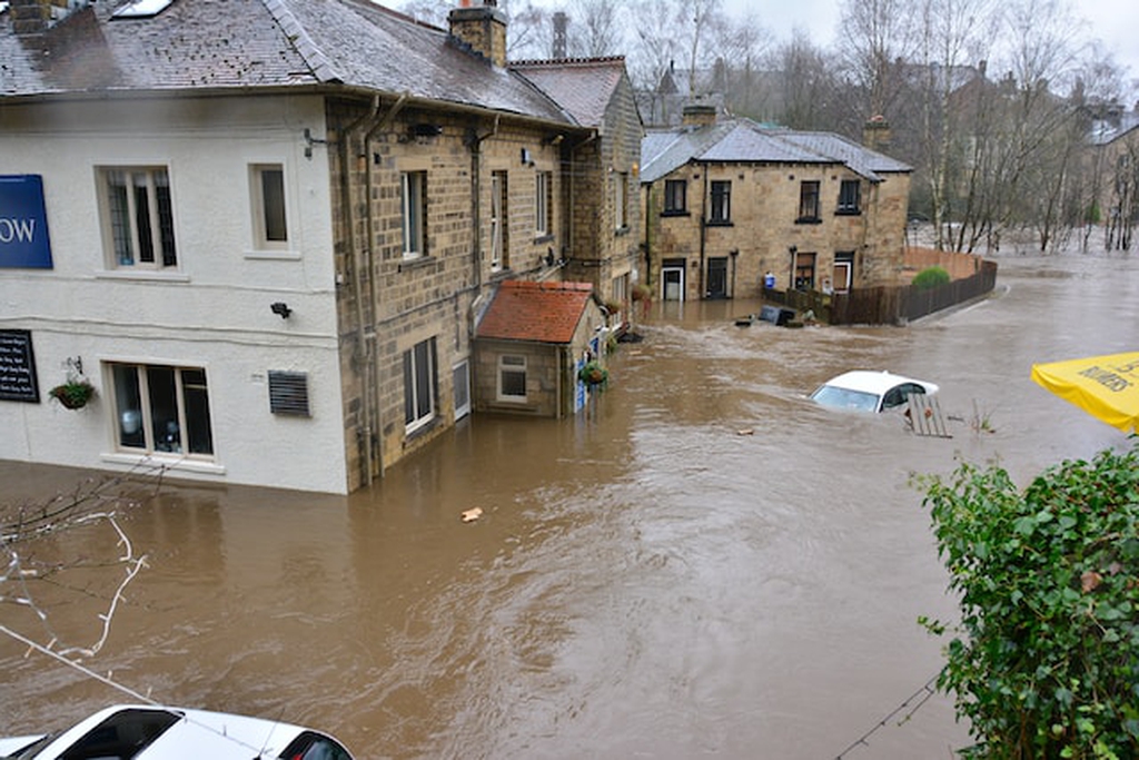 auto disastri naturali